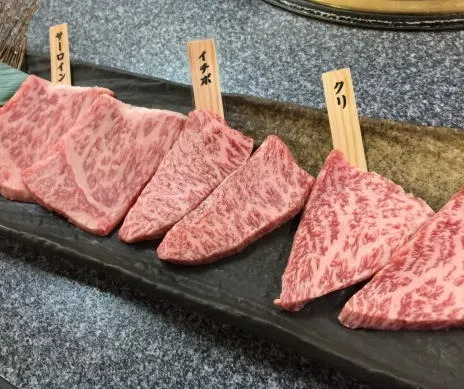 料理